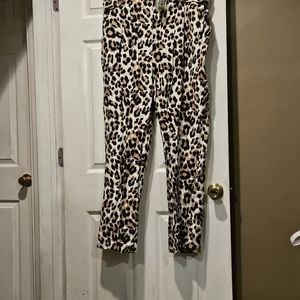 ASHLEY STEWART PANTS